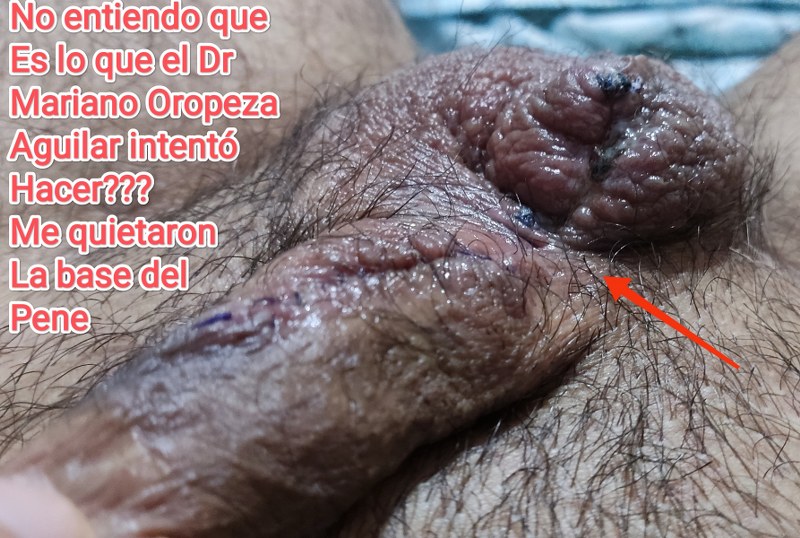 jose andres olivo garate jose andres olivo garate