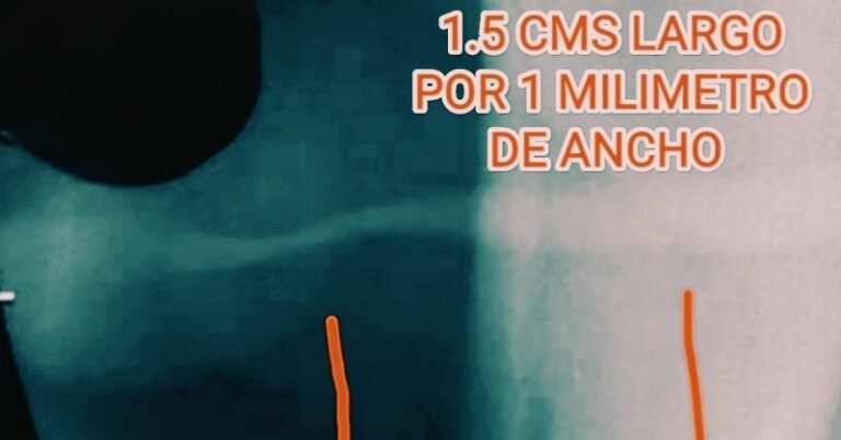 jose andres olivo garate